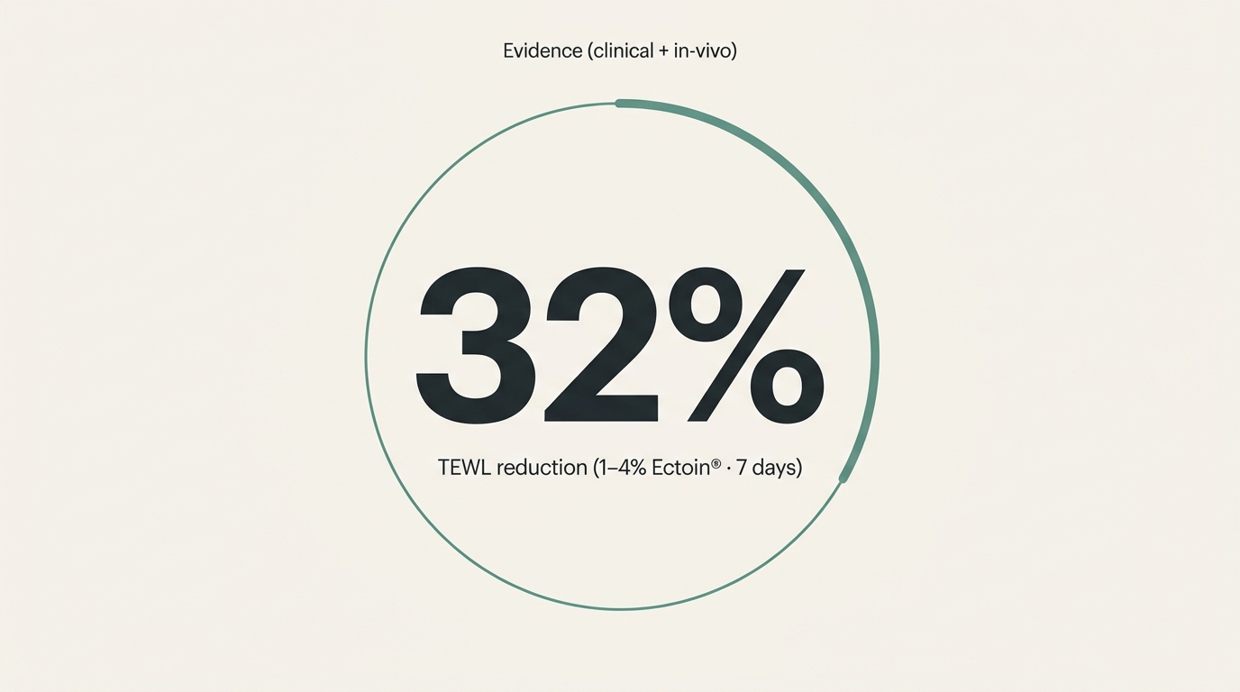 Data visualisation: Evidence (clinical + in-vivo) &mdash; 32% &mdash; TEWL reduction (1&ndash;4% Ectoin&reg; &middot; 7 days); 47% &mdash; TEWL reduction (0.5% Ectoin&reg; &middot; 48 h); 72% &mdash; TEWL reduction (48 h)