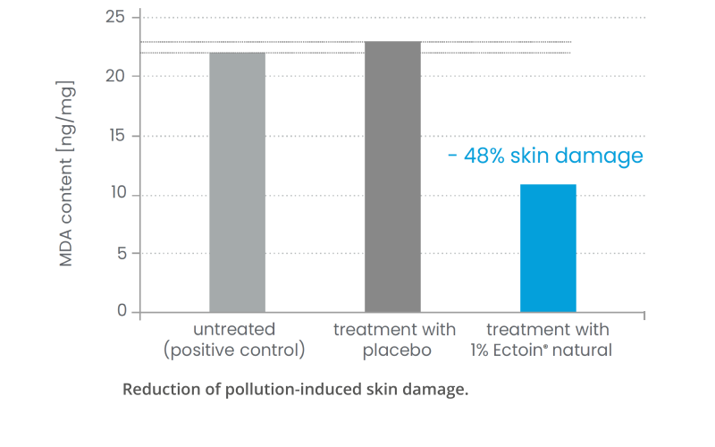 pollution-induced-skin-damage-01.png