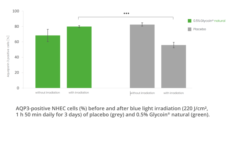 blue-light-protection_zeichenflache-1.png